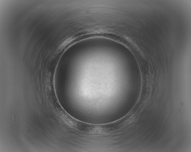 X0000079281265200611171016