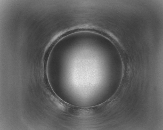 X0000079281270200611171016