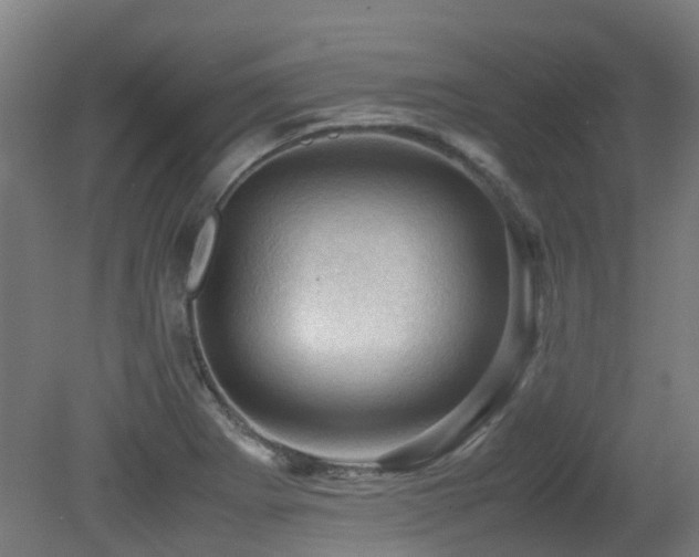X0000079281273200611171016