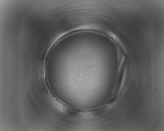 X0000079281276200611171016