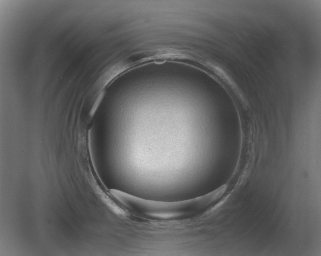 X0000079281281200611171016