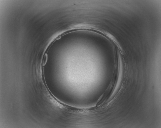 X0000079281288200611171016