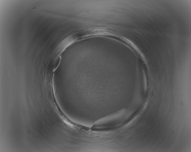 X0000079281289200611171016