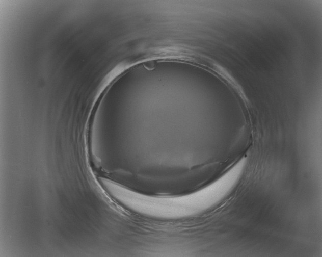 X0000079281291200611171016