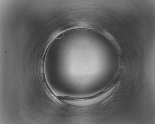 X0000079281292200611171015