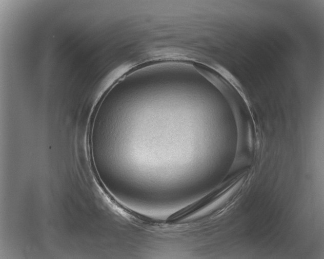 X0000079281293200611171015