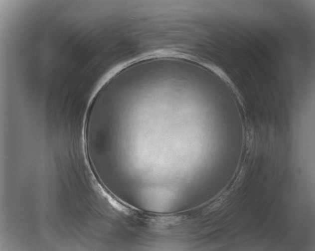 X0000079281294200611171015