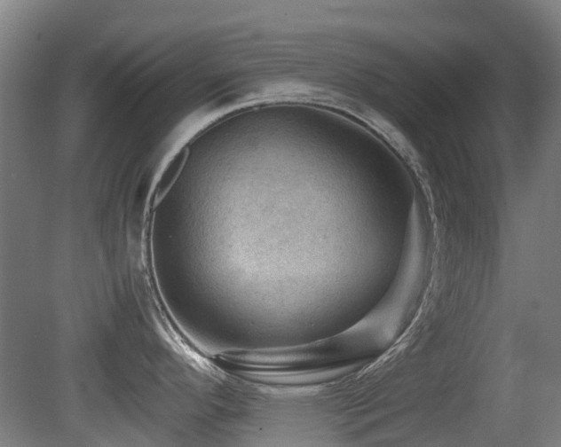 X0000079281296200611171015