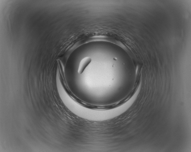 X0000079281298200611171015