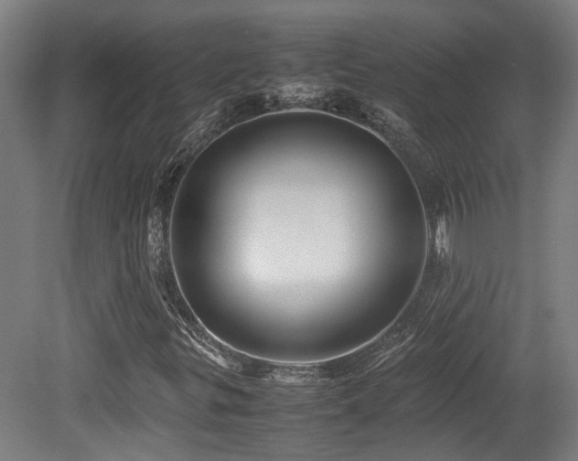 X0000079281299200611171015