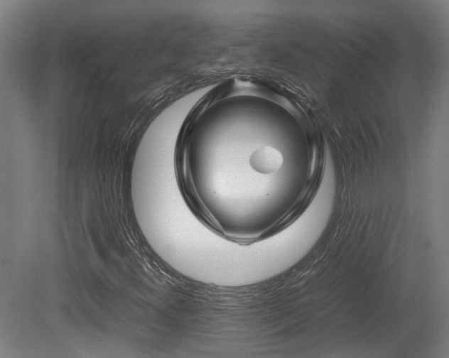 X0000079281300200611171015