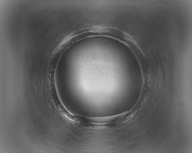 X0000079281304200611171015