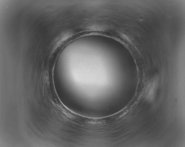 X0000079281307200611171015
