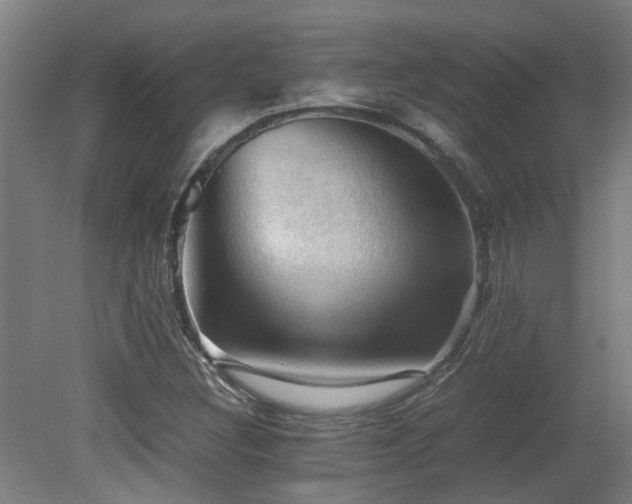 X0000079281308200611171015