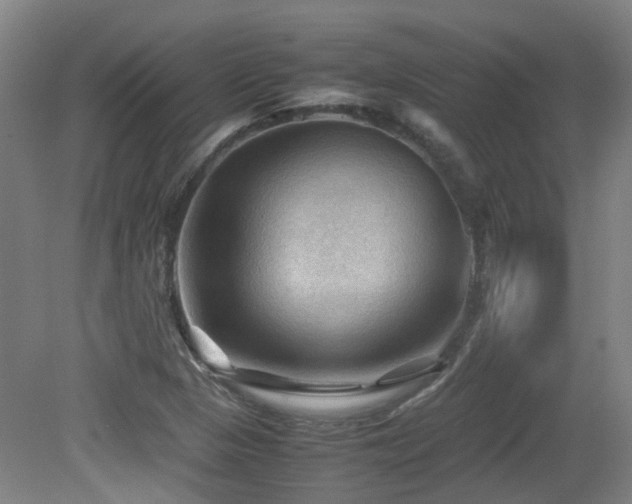 X0000079281313200611171015