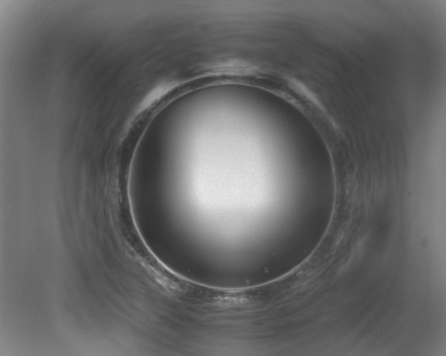 X0000079281315200611171015