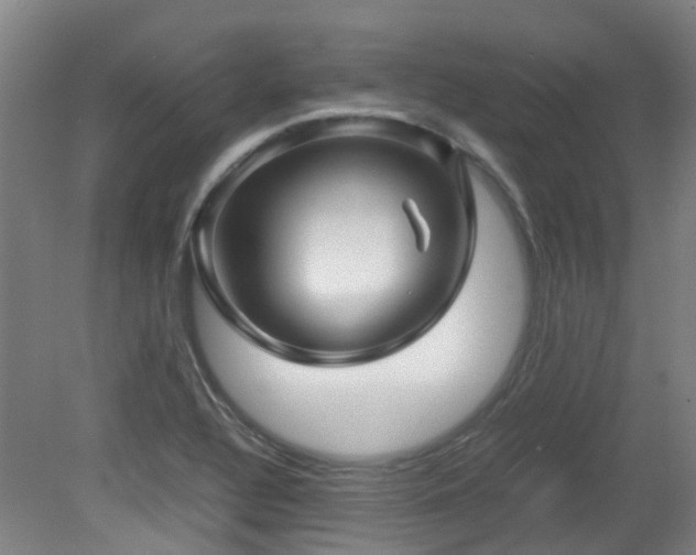 X0000079281320200611171015