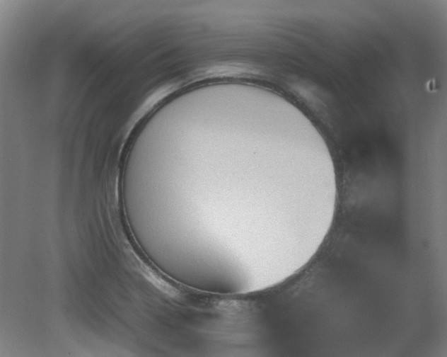 X0000079281322200611171015