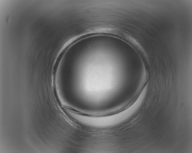 X0000079281324200611171015