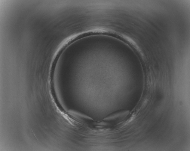 X0000079281327200611171015