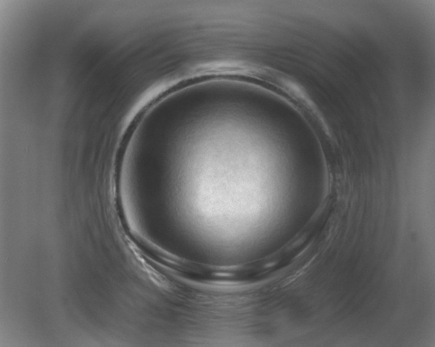 X0000079281328200611171015