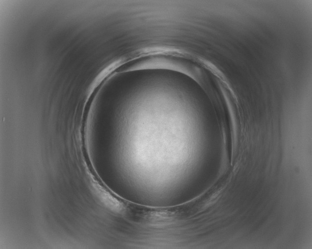 X0000079281330200611171015