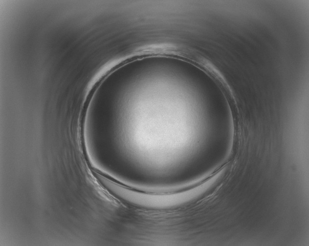 X0000079281336200611171015