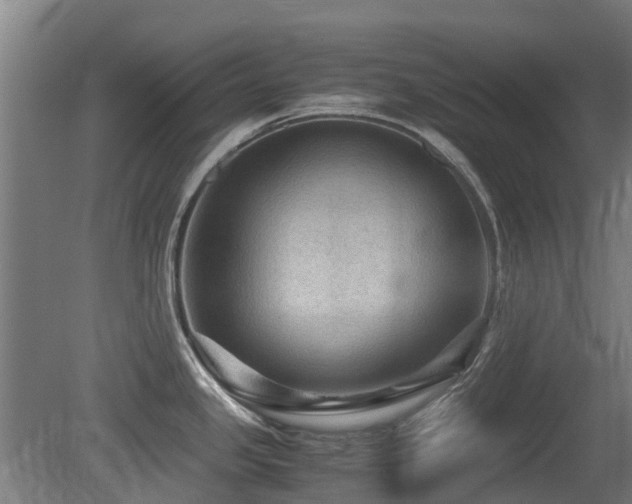 X0000079281341200611171015