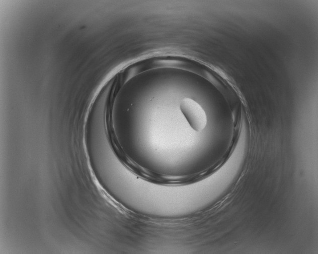 X0000079281342200611171015