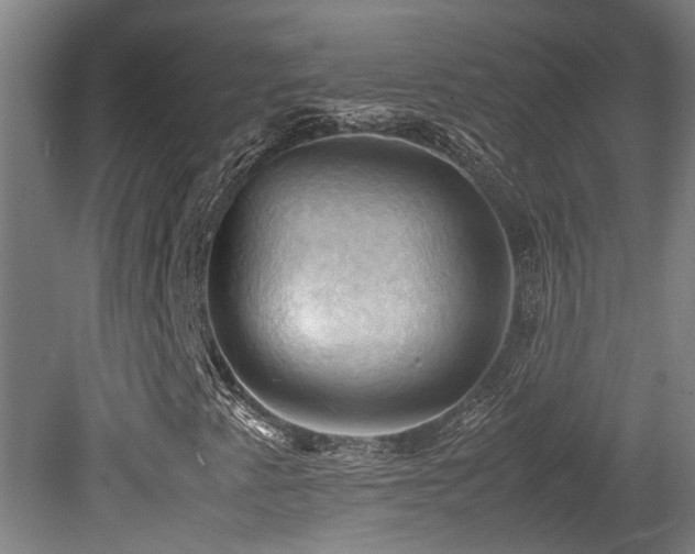 X0000079281345200611171015