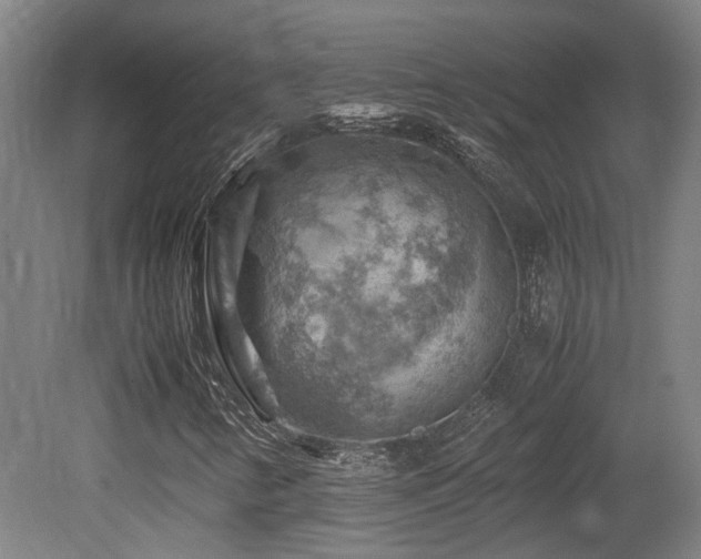 X0000079281346200611171015
