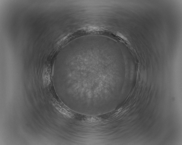 X0000079281348200611171015