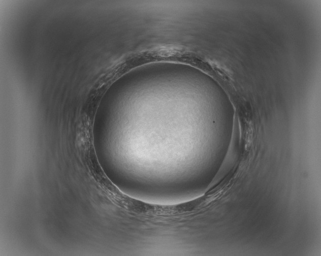 X0000079281349200611171015