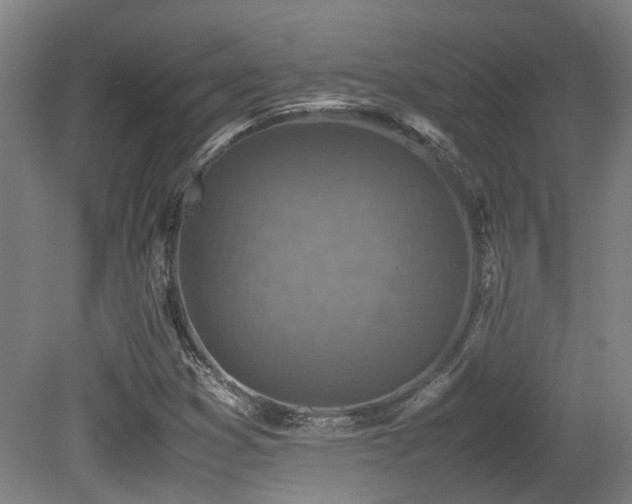 X0000079281353200611171014