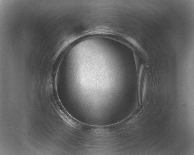 X0000079281356200611171014