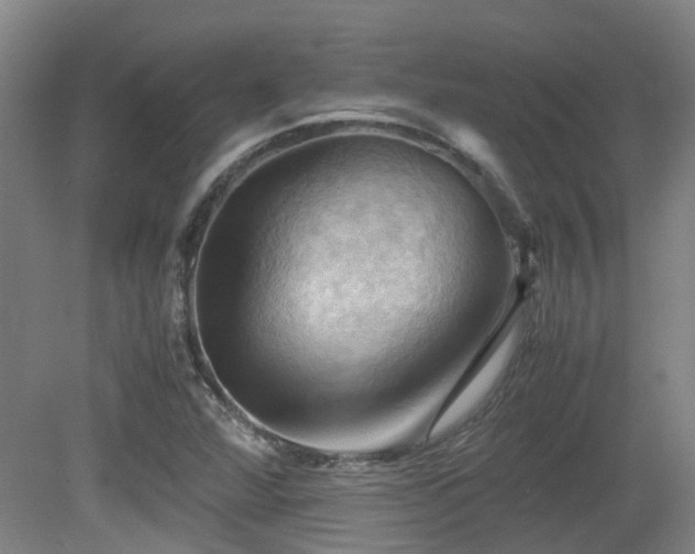 X0000079281360200611171014