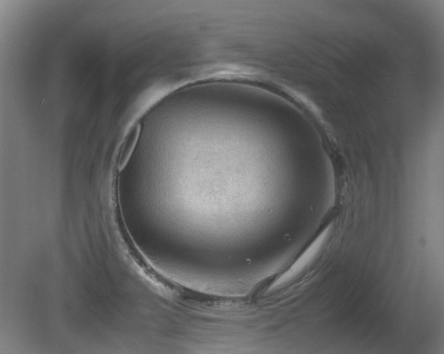 X0000079281375200611171014