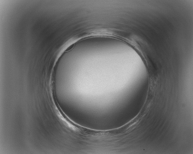 X0000079281387200611171014