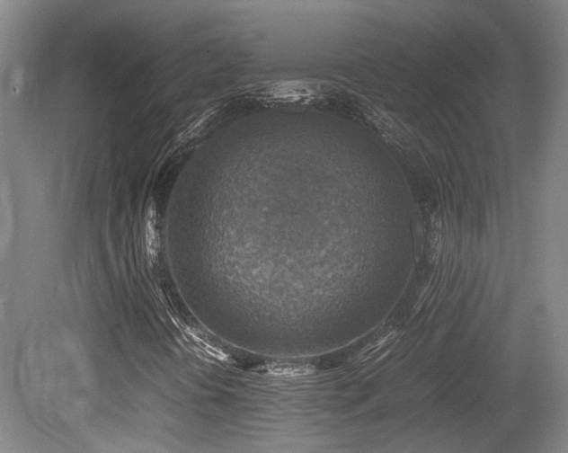 X0000079281394200611171013