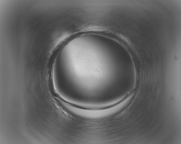 X0000079281406200611171013