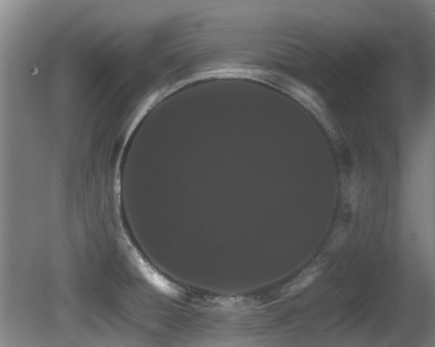 X0000079281428200611171014