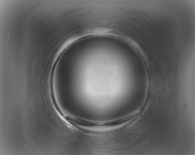 X0000079281432200611171014