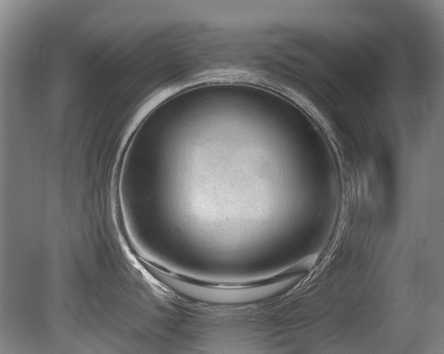 X0000079281440200611171014