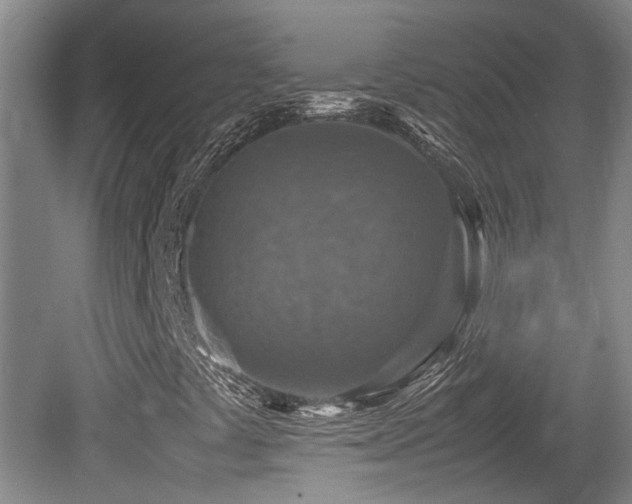 X0000079281441200611171013