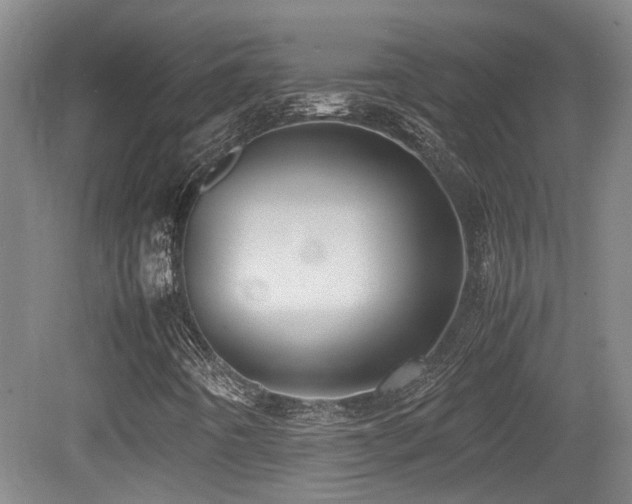 X0000079281442200611171013