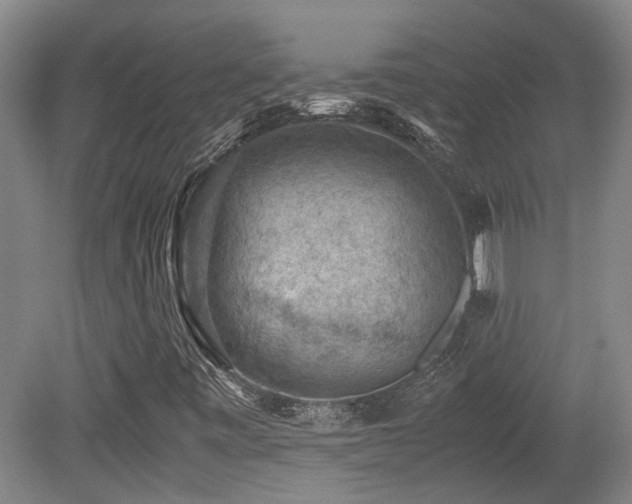 X0000079281443200611171013