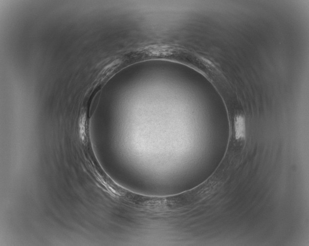 X0000079281444200611171013