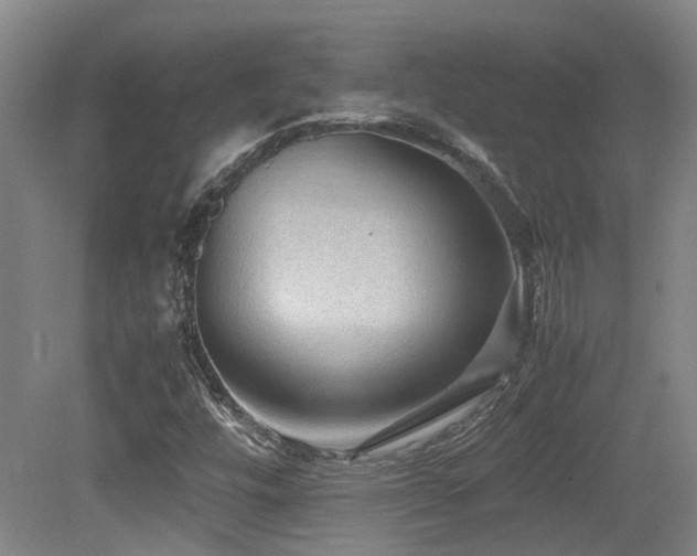 X0000079281448200611171013