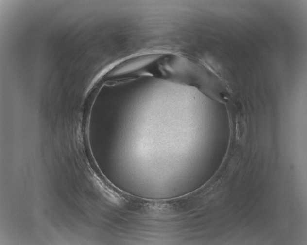 X0000079281452200611171013