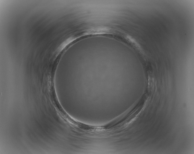 X0000079281457200611171013